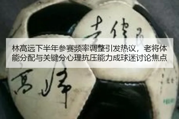 林高远下半年参赛频率调整引发热议，老将体能分配与关键分心理抗压能力成球迷讨论焦点